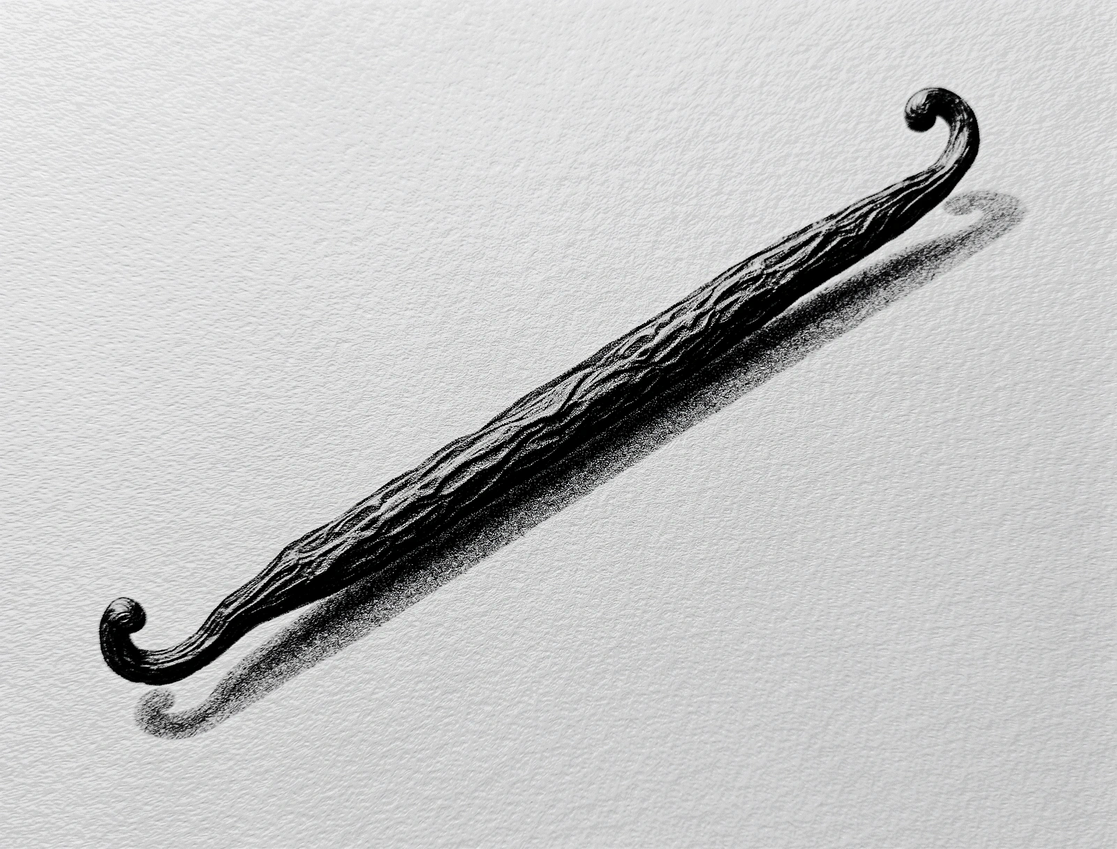 charcoal sketch